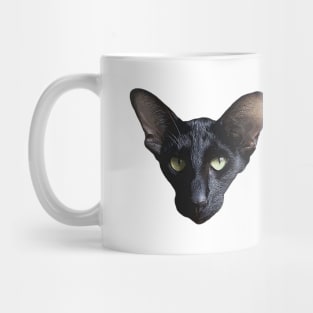 Oriental Cat Black Mug